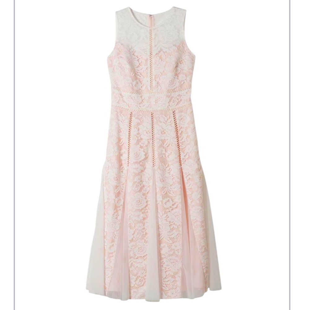 White House Black Market Sleeveless All-Over Lace Fit& Flare Midi Dress -Size: 6 - Picture 4 of 15